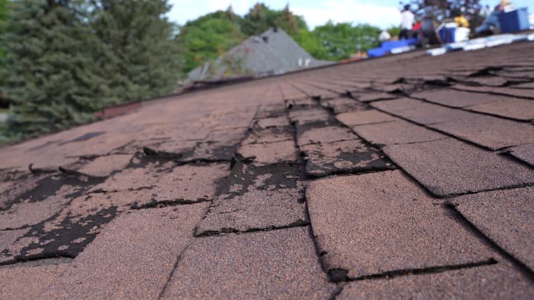 Fast & Reliable Emergency Roof Repairs in West Plains, MO